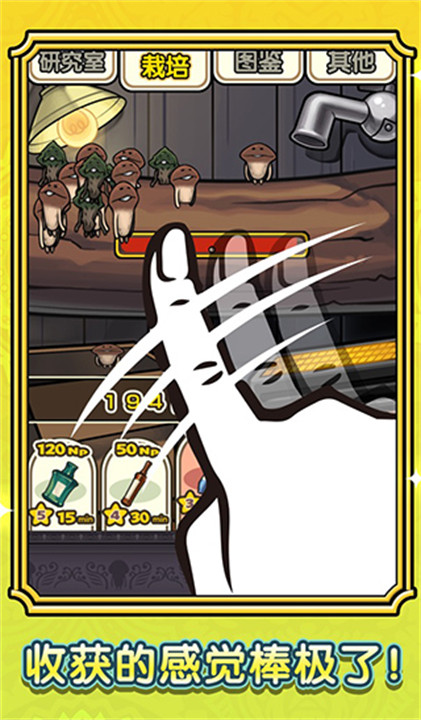 蘑菇花园安卓汉化版截图3