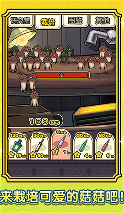 蘑菇花园安卓汉化版截图5