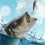 垂钓大师手机版