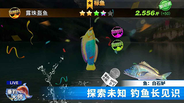 垂钓大师手机版4