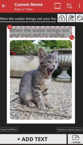 meme动画制作软件