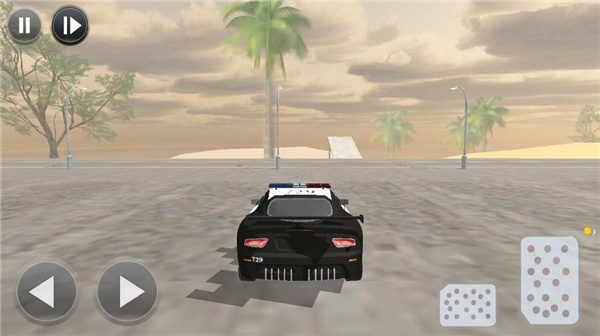 边境警察巡逻模拟器中文版截图2