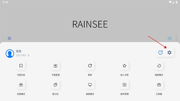 Rains浏览器app