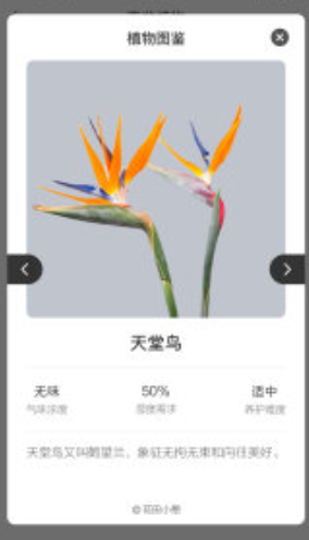 花田小憩app手机版