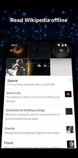 维基百科wikipedia截图3