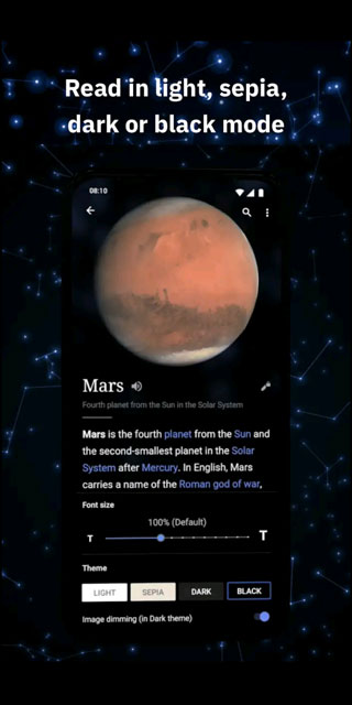 维基百科wikipedia截图5