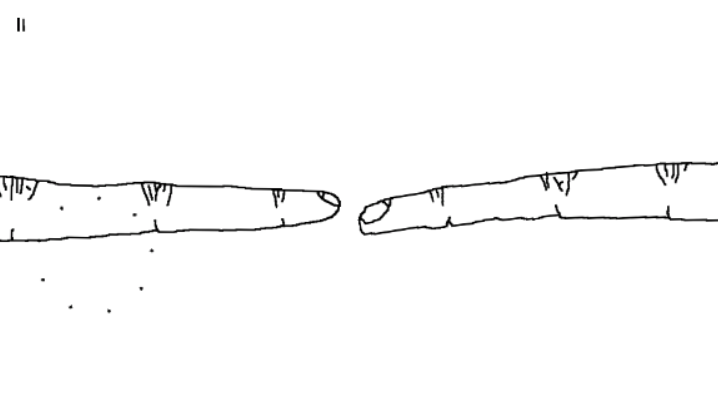 即插即用安卓版