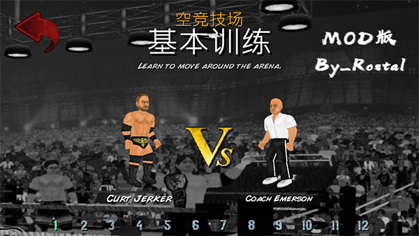 摔跤革命3d汉化版截图2