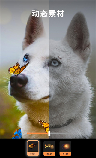 pixaloop安卓中文版截图1
