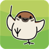 鸟之音游戏手机版