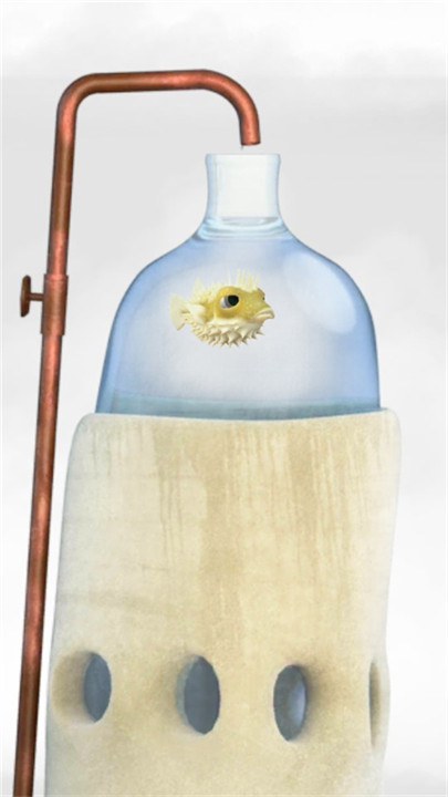 行走的老鲸鱼手机安卓版截图2