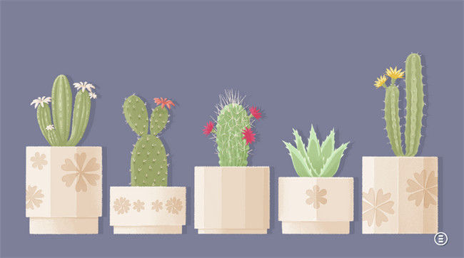 往左一点看星星手机版截图4