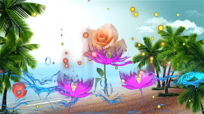 3d幻影电子相册旧版本