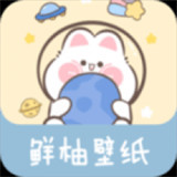 鲜柚桌面壁纸动态