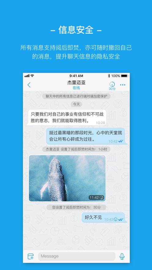 AntMessenger聊天软件截图4