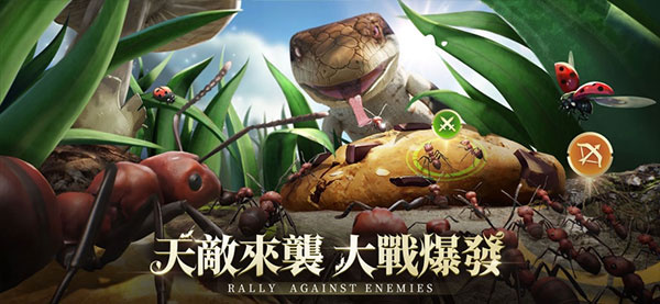 小小蚁国安卓版截图3