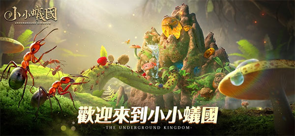 小小蚁国安卓版截图6