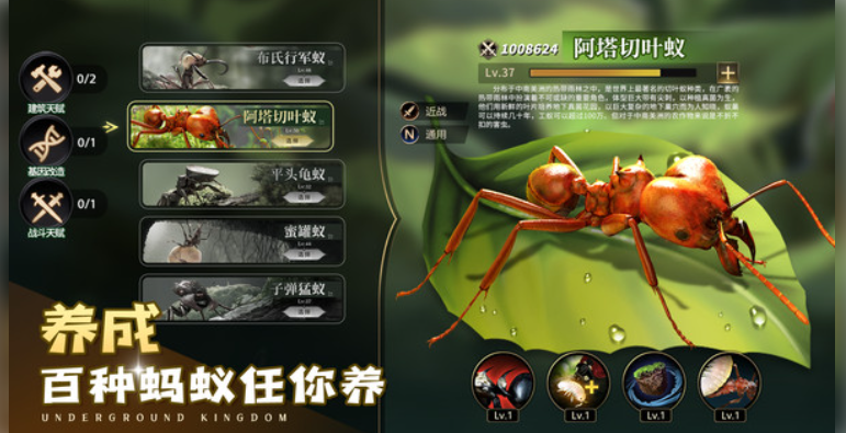 小小蚁国安卓版