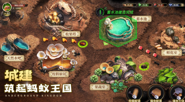 小小蚁国安卓版