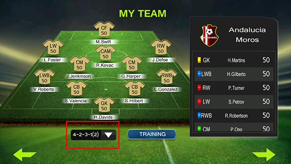 终极足球中文版