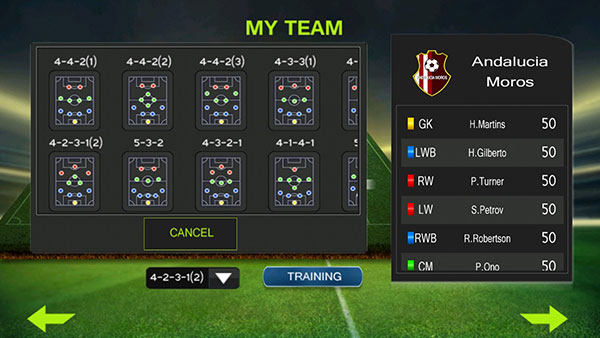 终极足球中文版