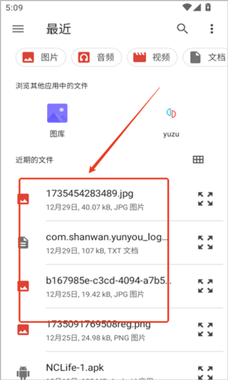 NetherSX2模拟器汉化版