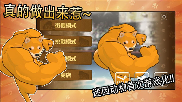 动物之斗安卓版截图2