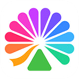 大麦网订票查阅