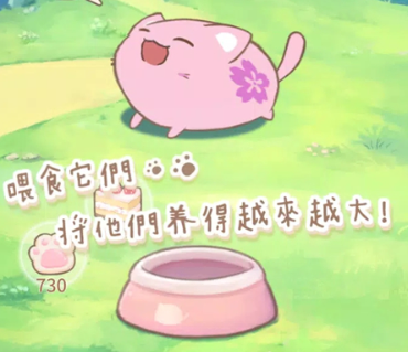 麻糬猫收藏疗愈的每一天