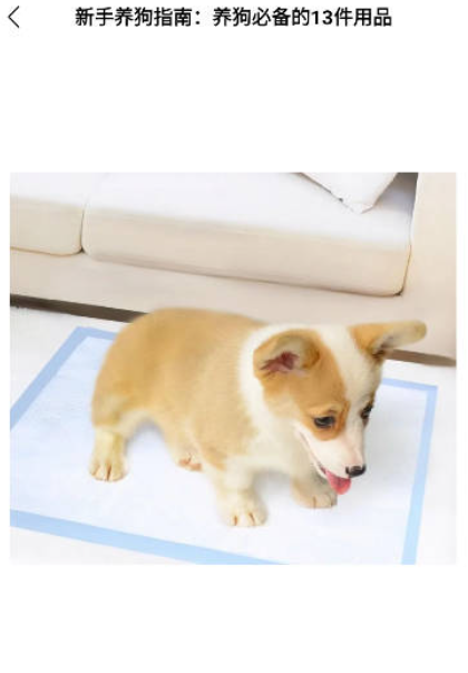 宠物记时养成日记