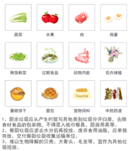 垃圾分类闯关游戏