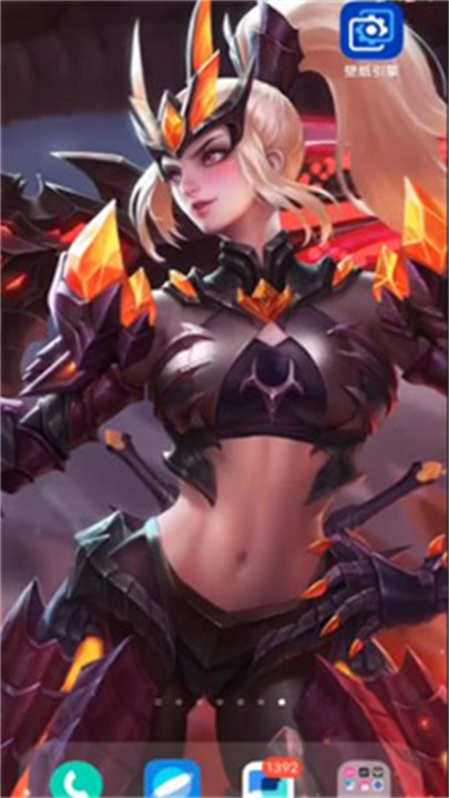 麻匪壁纸mpkg文件截图4