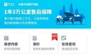 查博士二手车检测