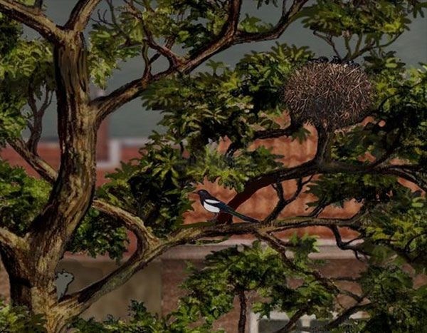 米洛和喜鹊游戏(Milo and the Magpies)