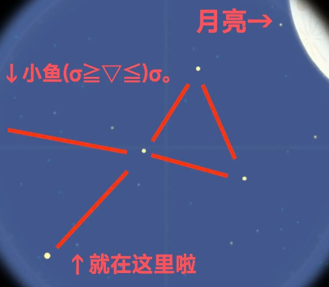 橡子商店