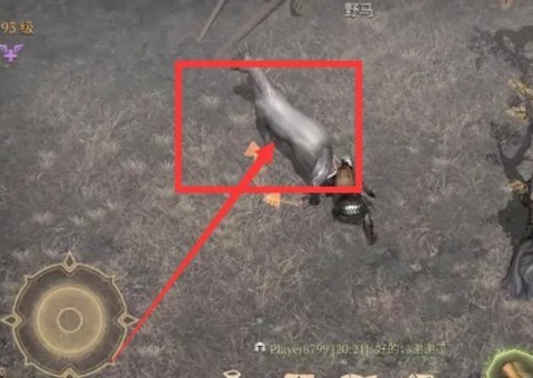 冷酷灵魂 第2张图