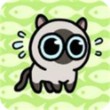 猫冒险手机游戏
