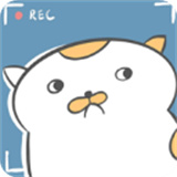 主播和猫的故事猫生病