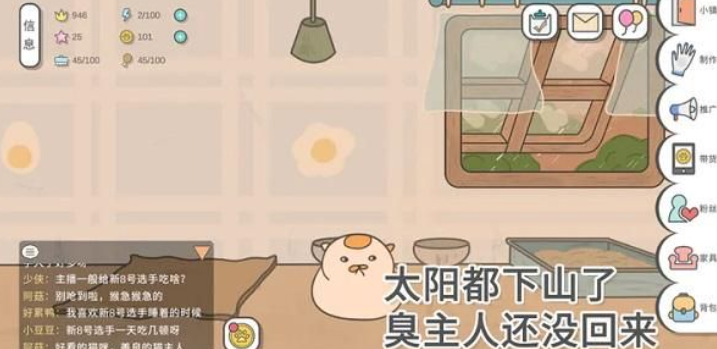 主播和猫的故事猫生病