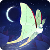 彩翼之星夜安卓