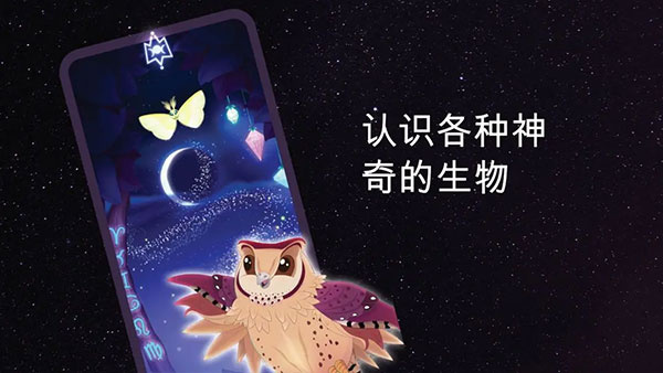 彩翼之星夜安卓截图2