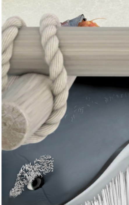 flewn行走的老鲸鱼