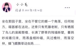 毛滚滚日常日记本