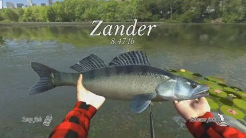 终极钓鱼模拟器中文版