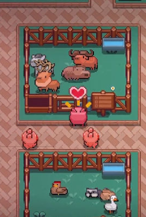 开拓猪之岛动物园