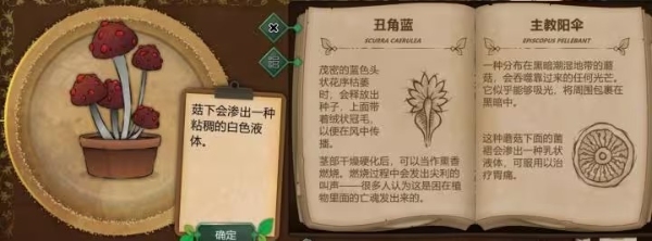 奇异园艺中文版