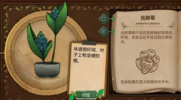 奇异园艺中文版