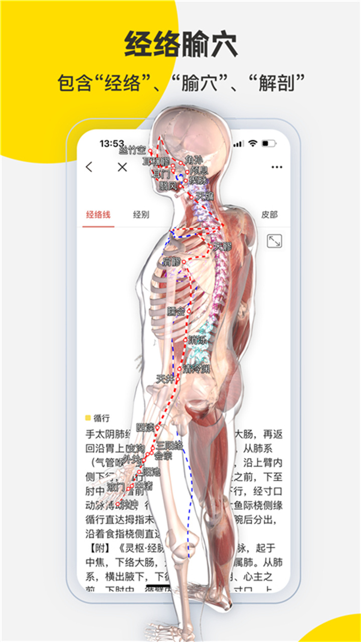 3dbody安卓版截图1