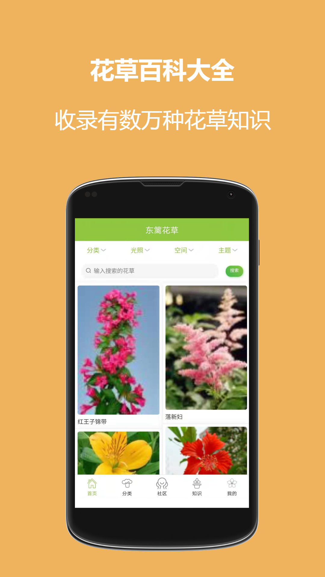 东篱花草辅助工具4