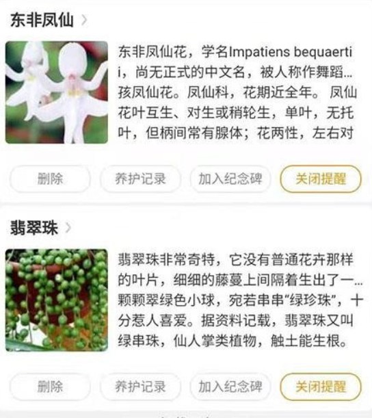 东篱花草辅助工具